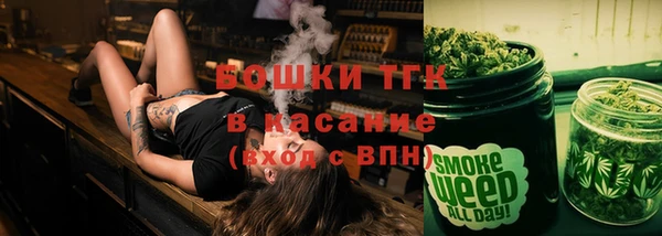 дживик Арсеньев
