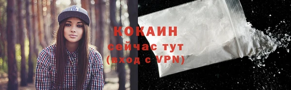 дживик Арсеньев