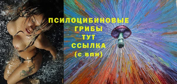 прущая мука Армянск