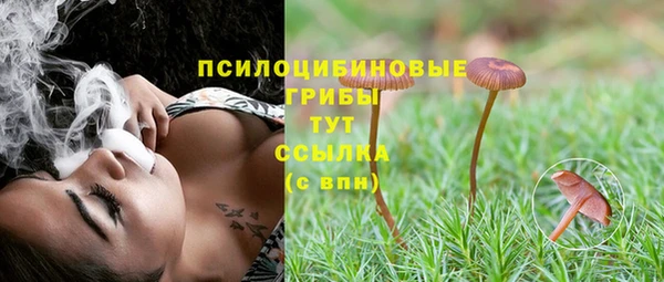 ECSTASY Покровск